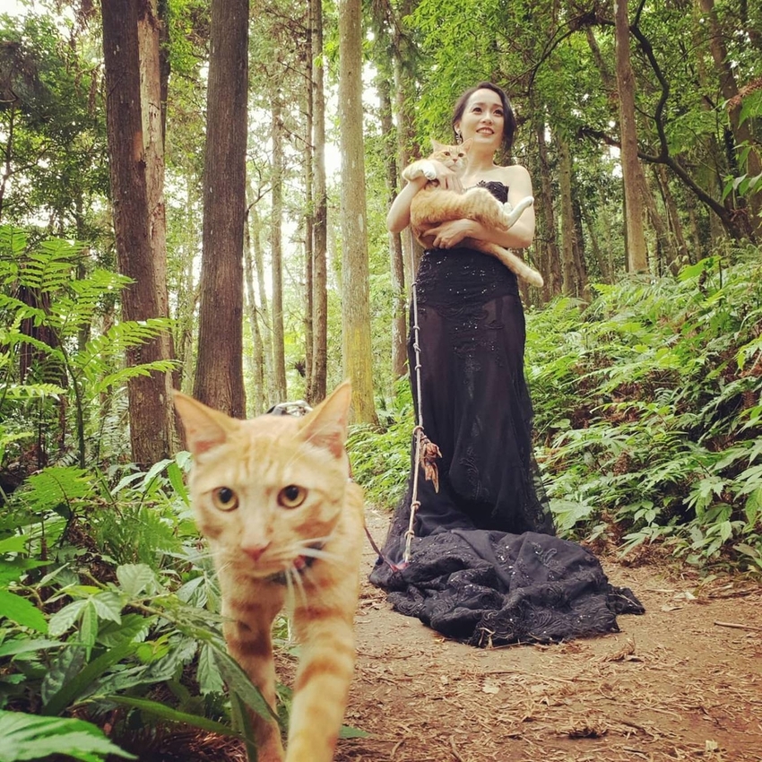 【新竹.北埔】森窯have a picnic。森林系野餐行程阿貓阿狗都可以帶去。各類窯烤比薩+咖啡