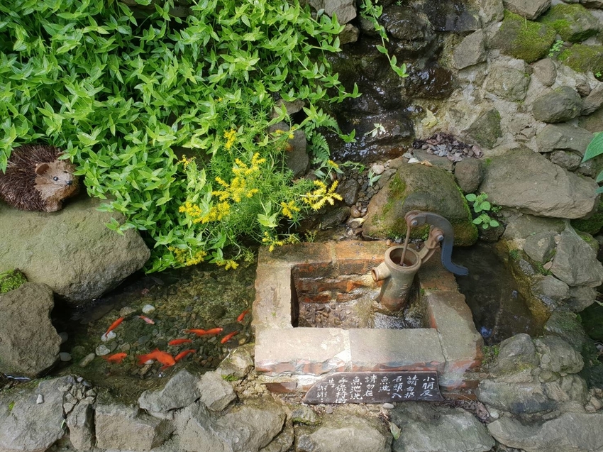 【新竹.北埔】森窯have a picnic。森林系野餐行程阿貓阿狗都可以帶去。各類窯烤比薩+咖啡