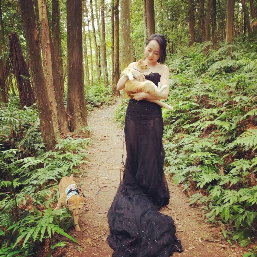 【新竹.北埔】森窯have a picnic。森林系野餐行程阿貓阿狗都可以帶去。各類窯烤比薩+咖啡