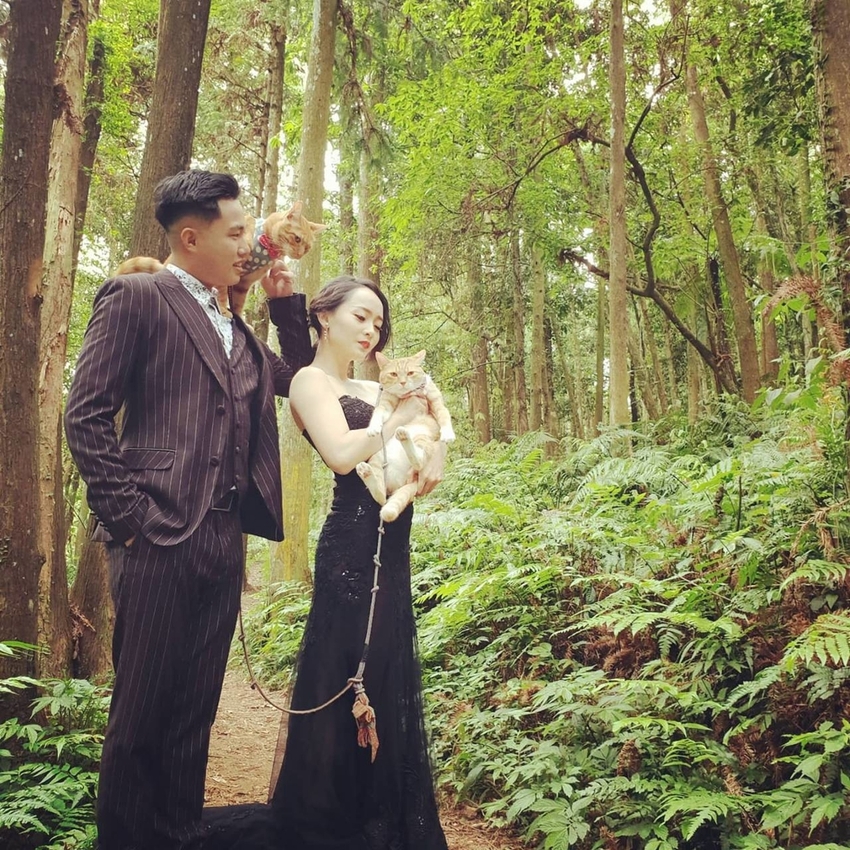 【新竹.北埔】森窯have a picnic。森林系野餐行程阿貓阿狗都可以帶去。各類窯烤比薩+咖啡