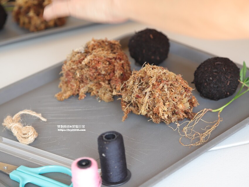 全台最多花旗木包圍的美濃  蝶舞澗  豪華露營帳篷一泊三食在地食材