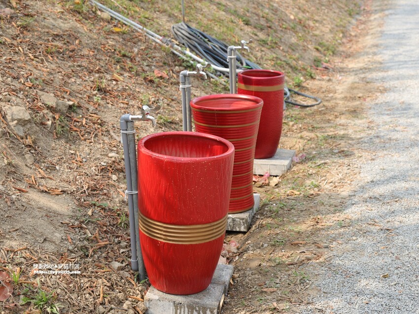 全台最多花旗木包圍的美濃  蝶舞澗  豪華露營帳篷一泊三食在地食材
