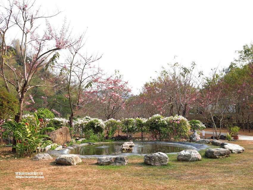 全台最多花旗木包圍的美濃  蝶舞澗  豪華露營帳篷一泊三食在地食材