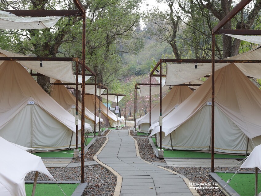 全台最多花旗木包圍的美濃  蝶舞澗  豪華露營帳篷一泊三食在地食材