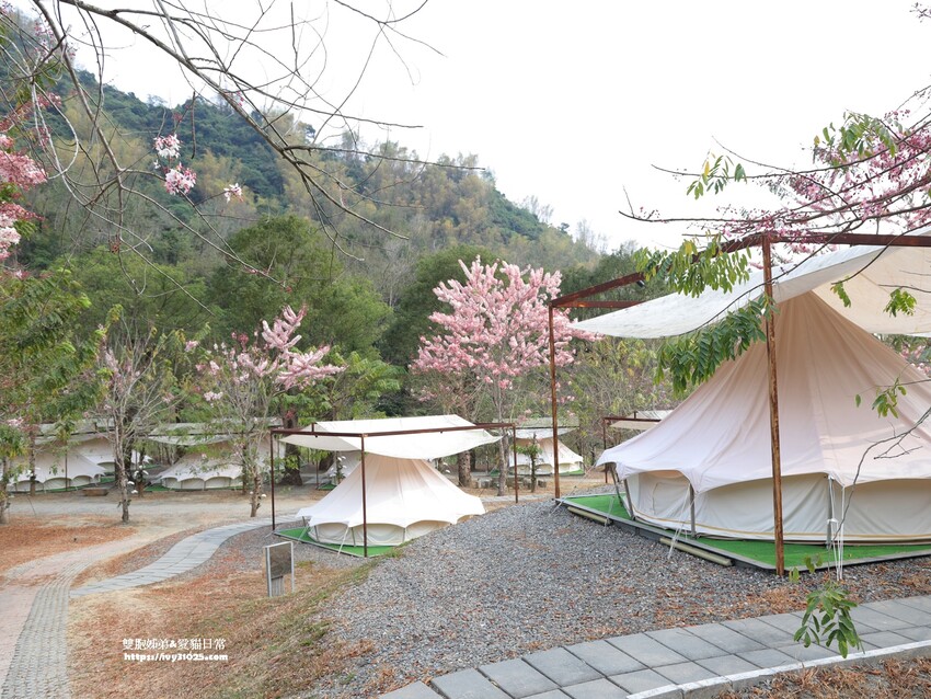 全台最多花旗木包圍的美濃  蝶舞澗  豪華露營帳篷一泊三食在地食材