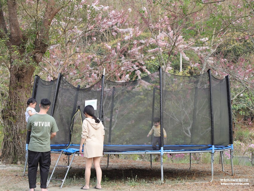 全台最多花旗木包圍的美濃  蝶舞澗  豪華露營帳篷一泊三食在地食材