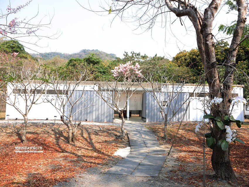 全台最多花旗木包圍的美濃  蝶舞澗  豪華露營帳篷一泊三食在地食材