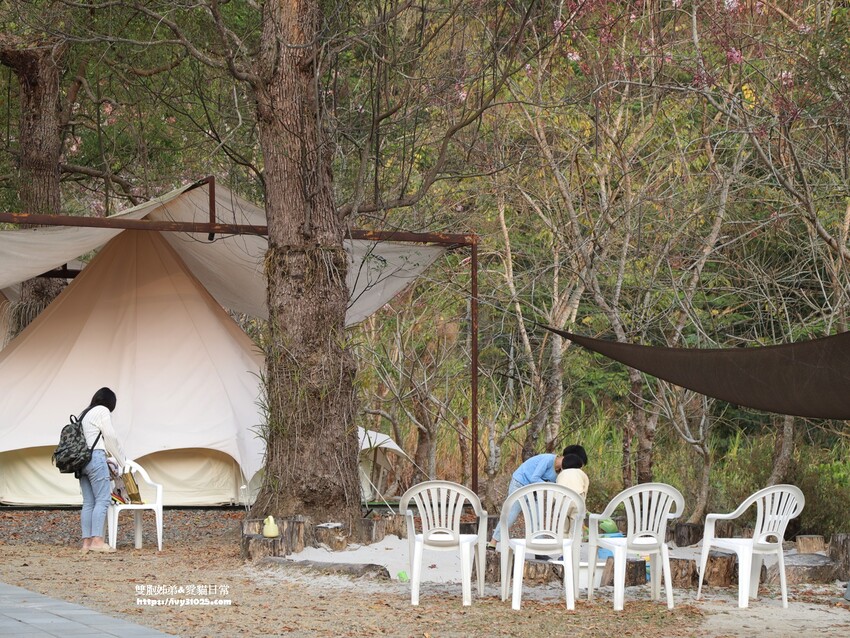 全台最多花旗木包圍的美濃  蝶舞澗  豪華露營帳篷一泊三食在地食材