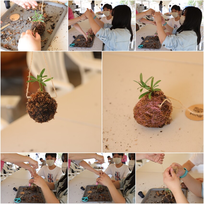 全台最多花旗木包圍的美濃  蝶舞澗  豪華露營帳篷一泊三食在地食材