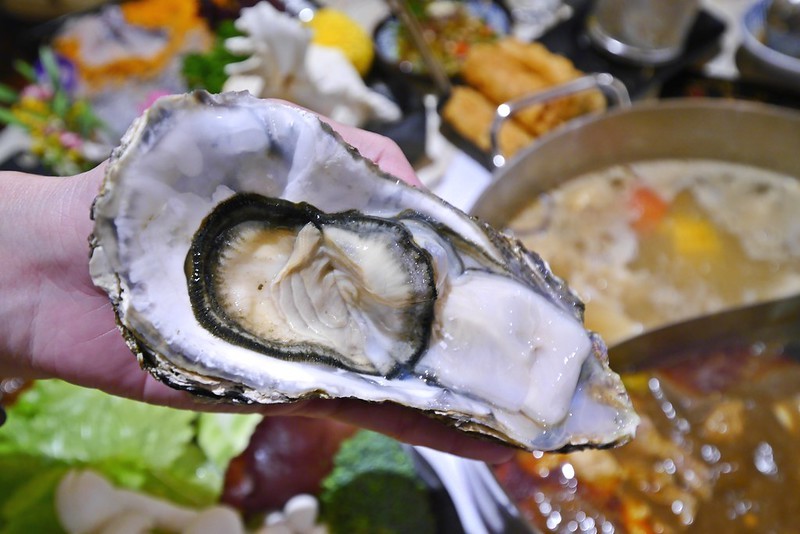 嘉義火鍋｜洪昌麻辣鴛鴦火鍋