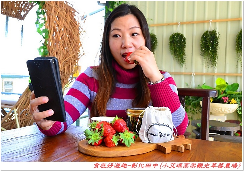 彰化田中的草莓農場推薦 | 小艾瑪高架觀光草莓農場，不但可以優雅的站著採草莓，更有峇里島風的裝潢佈置讓人盡情美拍！