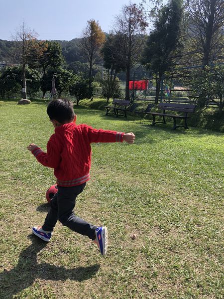 20200201_124010-8204224.jpg 20200201_124010-8204224.jpg