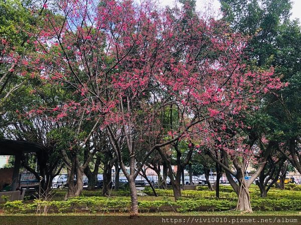林口八里_200223_0040.jpg