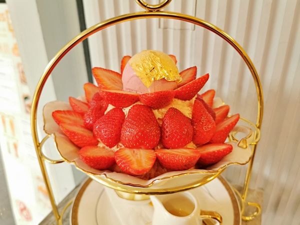 batch_22IMG_20200208_131558.jpg batch_22IMG_20200208_131558.jpg