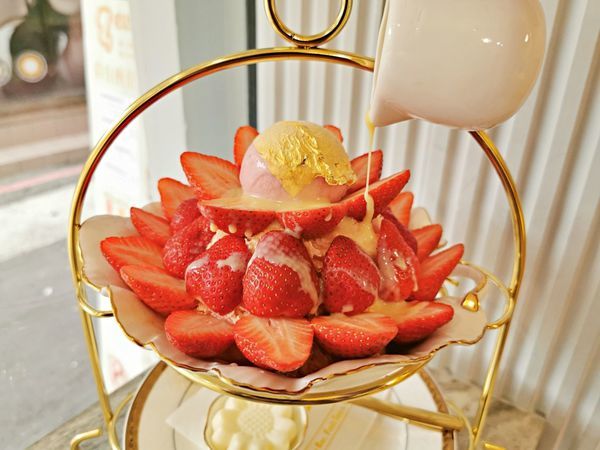 batch_22IMG_20200208_131730.jpg batch_22IMG_20200208_131730.jpg