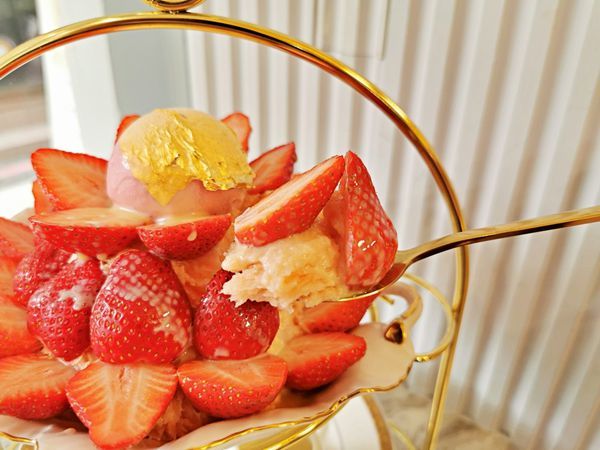 batch_22IMG_20200208_131803.jpg batch_22IMG_20200208_131803.jpg