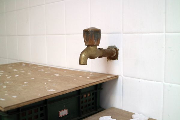 IMG_6529.JPG IMG_6529.JPG