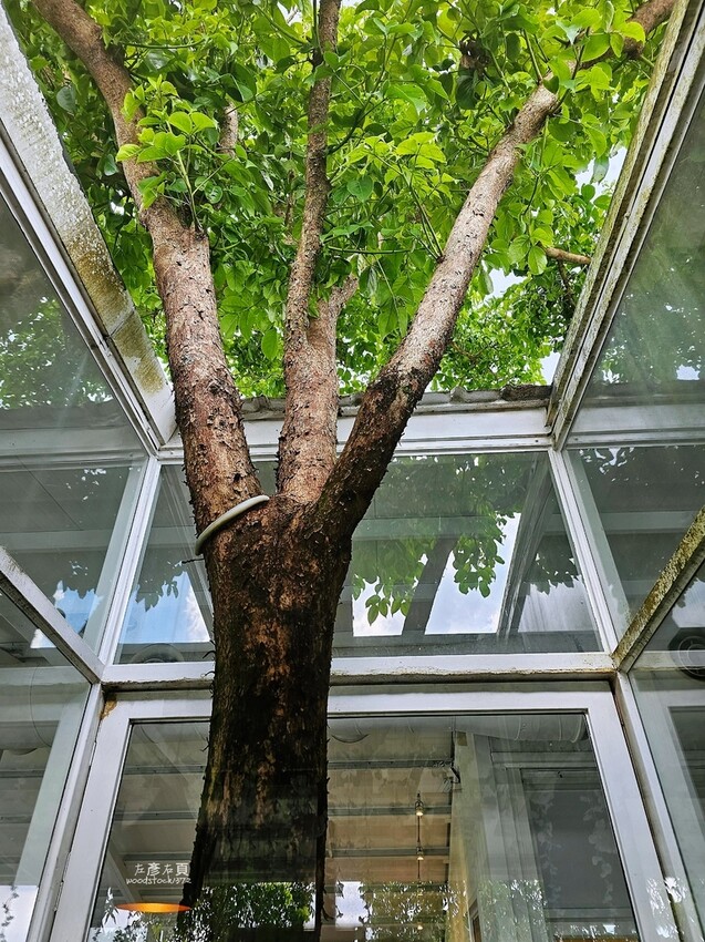台南玉井《魔法森林》景觀咖啡小餐館 台南玉井《魔法森林》景觀咖啡小餐館
