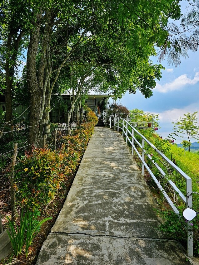 台南玉井《魔法森林》景觀咖啡小餐館 台南玉井《魔法森林》景觀咖啡小餐館