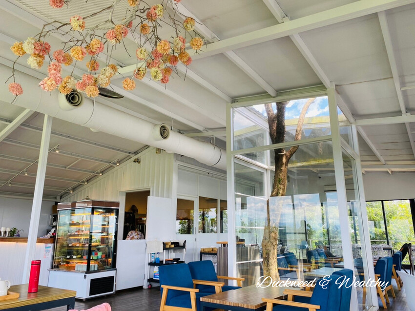 【台南玉井】魔法森林景觀餐廳|坐擁山林間遼闊美景|浪漫絕美天空步道|享受悠閒下午茶時光|