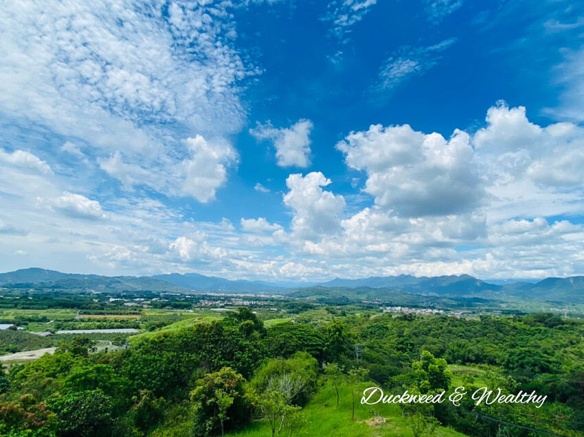 【台南玉井】魔法森林景觀餐廳|坐擁山林間遼闊美景|浪漫絕美天空步道|享受悠閒下午茶時光|
