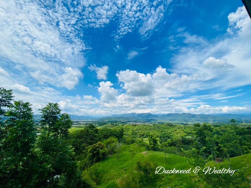 【台南玉井】魔法森林景觀餐廳|坐擁山林間遼闊美景|浪漫絕美天空步道|享受悠閒下午茶時光|