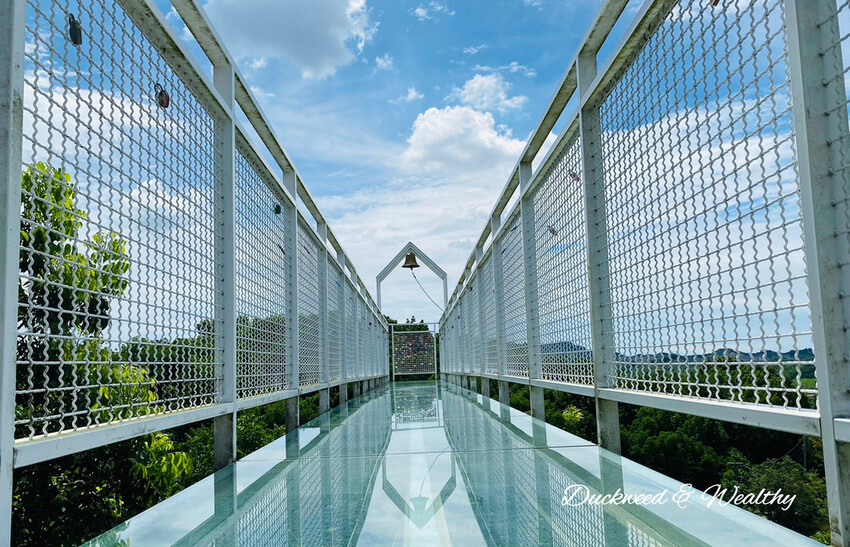 【台南玉井】魔法森林景觀餐廳|坐擁山林間遼闊美景|浪漫絕美天空步道|享受悠閒下午茶時光|