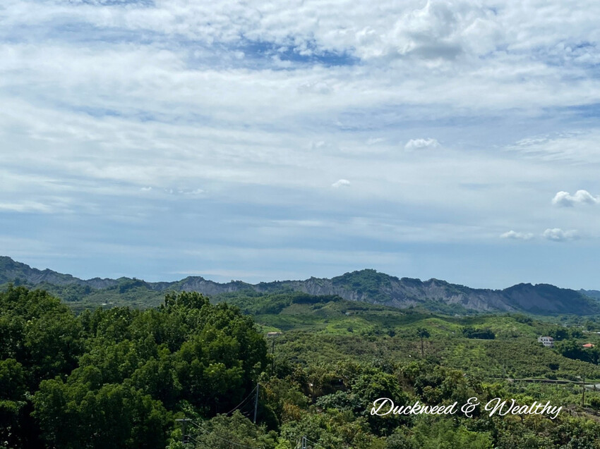 【台南玉井】魔法森林景觀餐廳|坐擁山林間遼闊美景|浪漫絕美天空步道|享受悠閒下午茶時光|