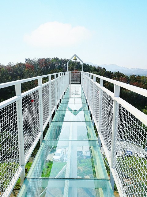 PICNIC_20200307_233406093