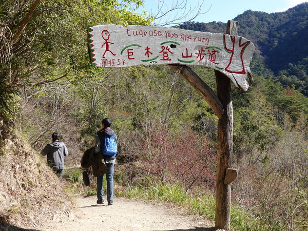 司馬庫斯巨木群登山口1.JPG