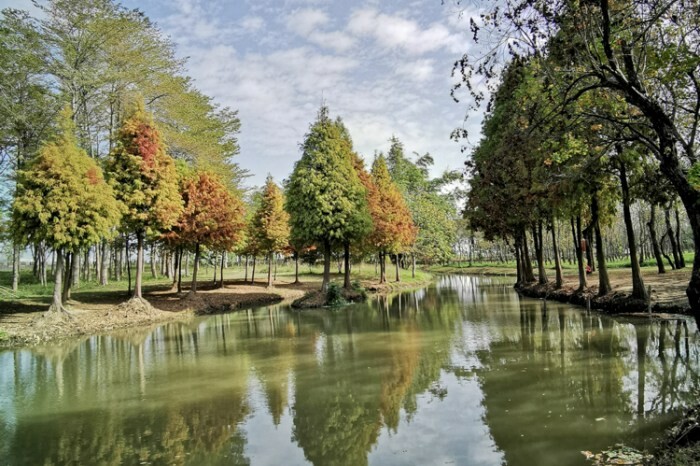 台南市中西區台南。中西》主廚帽印度餐廳。印度人掌廚,滿滿的異國風情