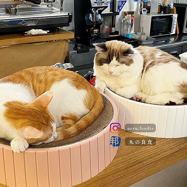 TakeOut Burger&Cafe|貓貓環繞美式漢堡推薦 @neru.foodie / 丸の良食