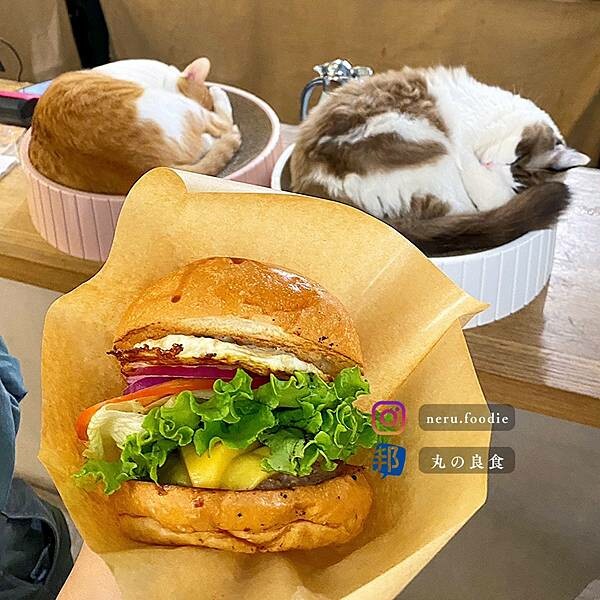 TakeOut Burger&Cafe|貓貓環繞美式漢堡推薦 @neru.foodie / 丸の良食