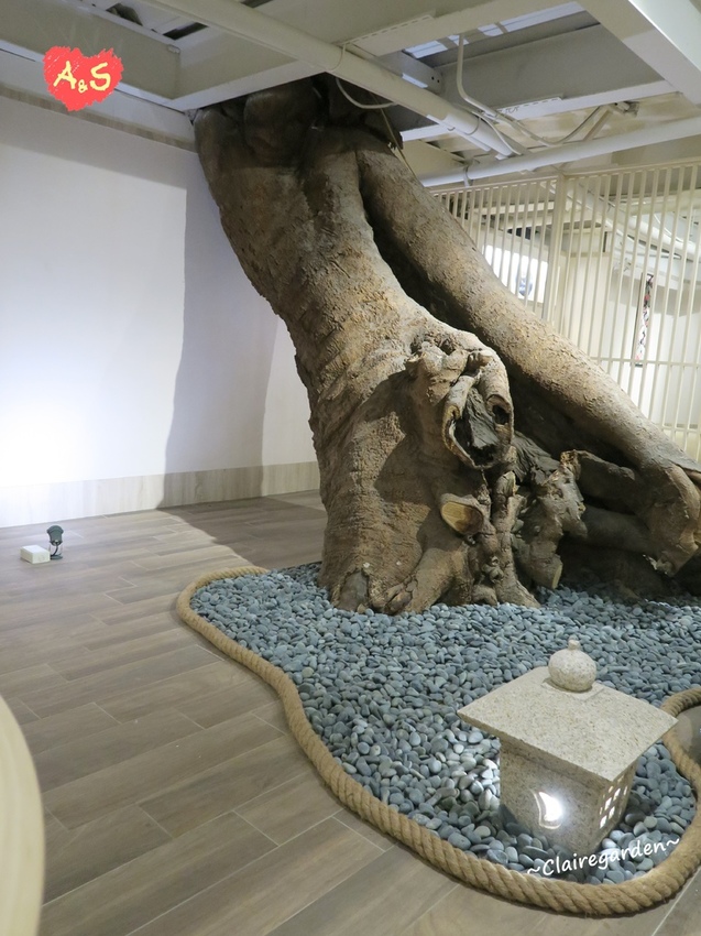 IMG_1388.JPG IMG_1388.JPG