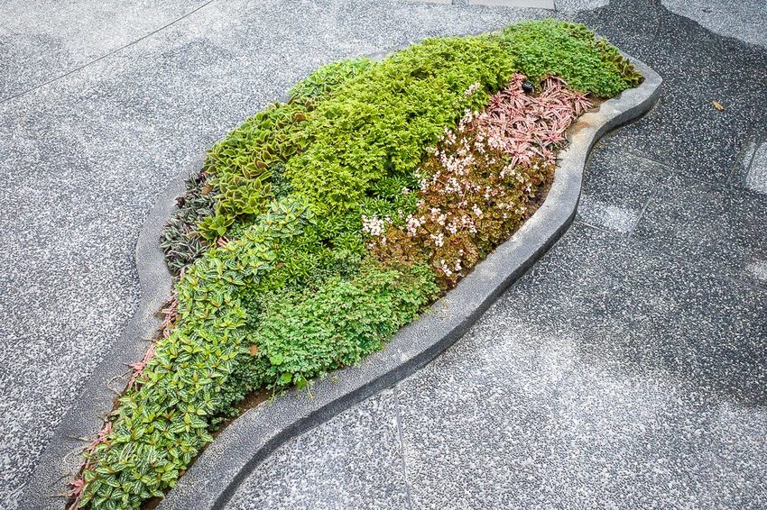 《 東旅湯宿風華漾館》礁溪泡湯，一泊二食 宜蘭溫泉住宿推薦 - 卡琳。摸魚兒趣