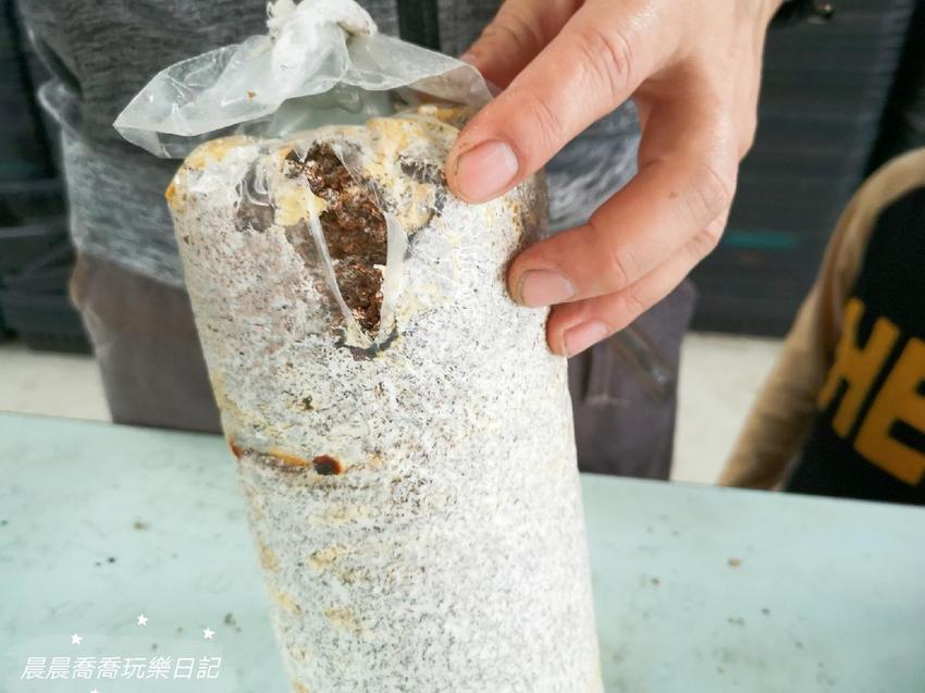 宜蘭景點.天勝農場