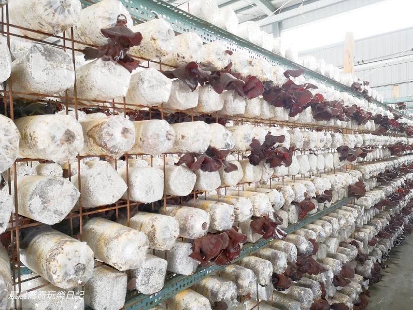 宜蘭景點.天勝農場