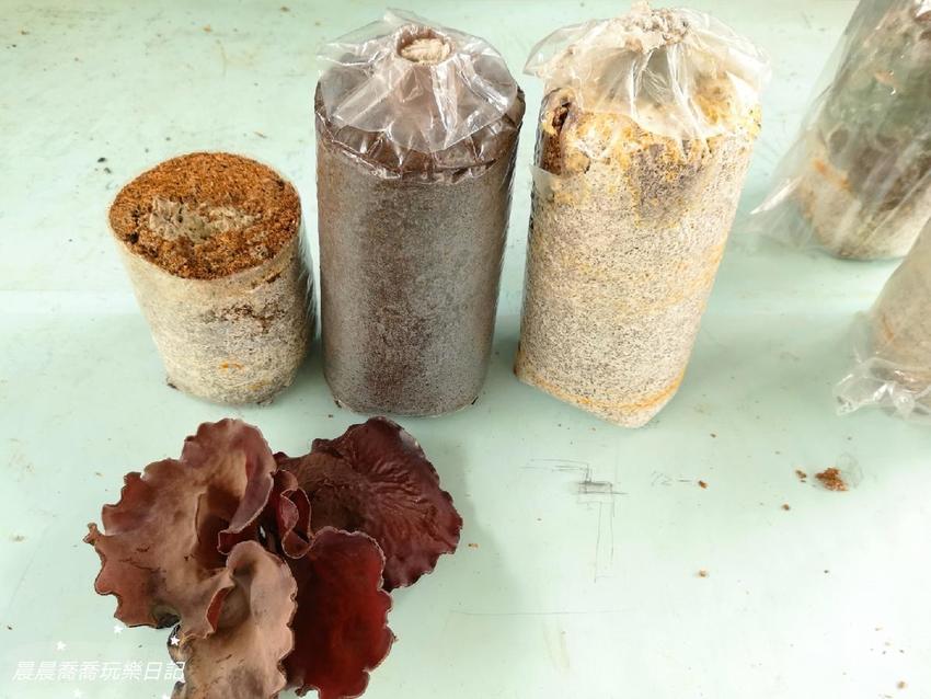 宜蘭景點天勝農場