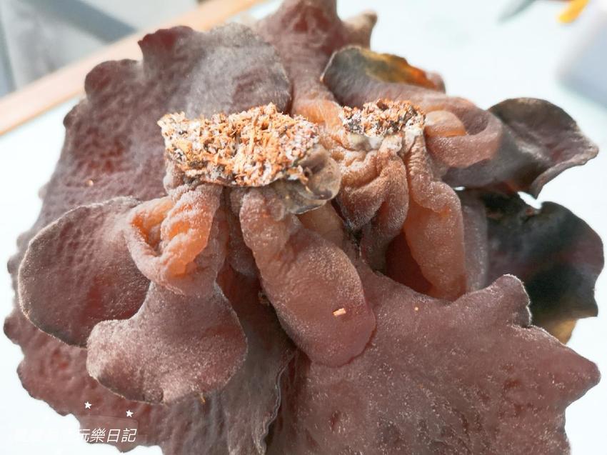 宜蘭景點.天勝農場