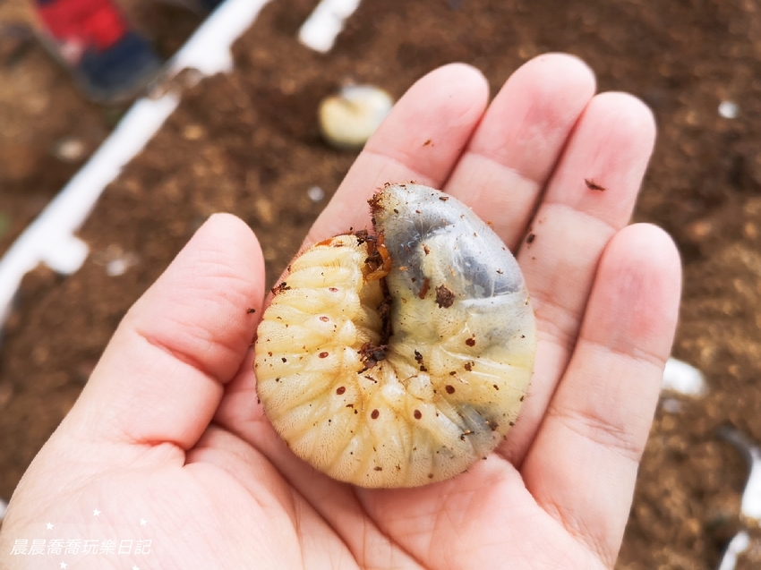 宜蘭景點.天勝農場