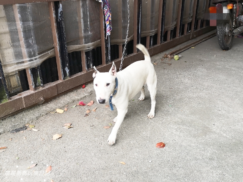 宜蘭景點.天勝農場