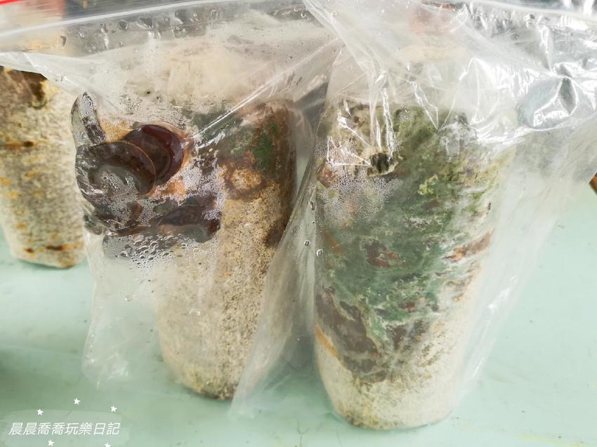 宜蘭景點.天勝農場