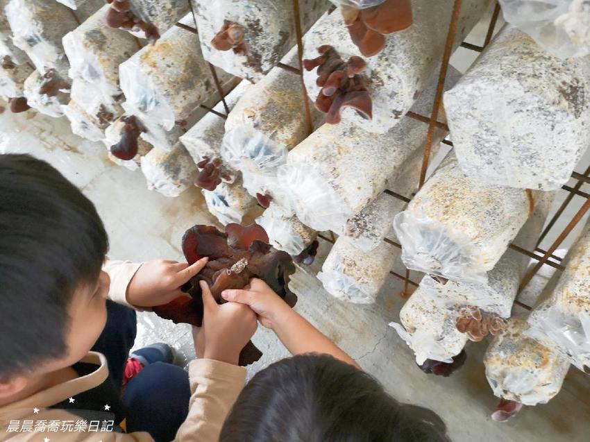 宜蘭景點.天勝農場