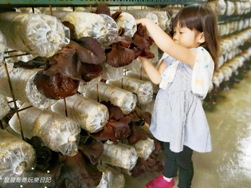宜蘭景點.天勝農場