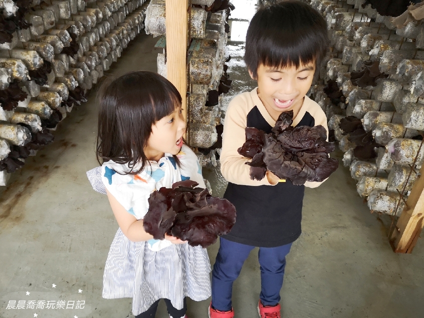 宜蘭景點.天勝農場