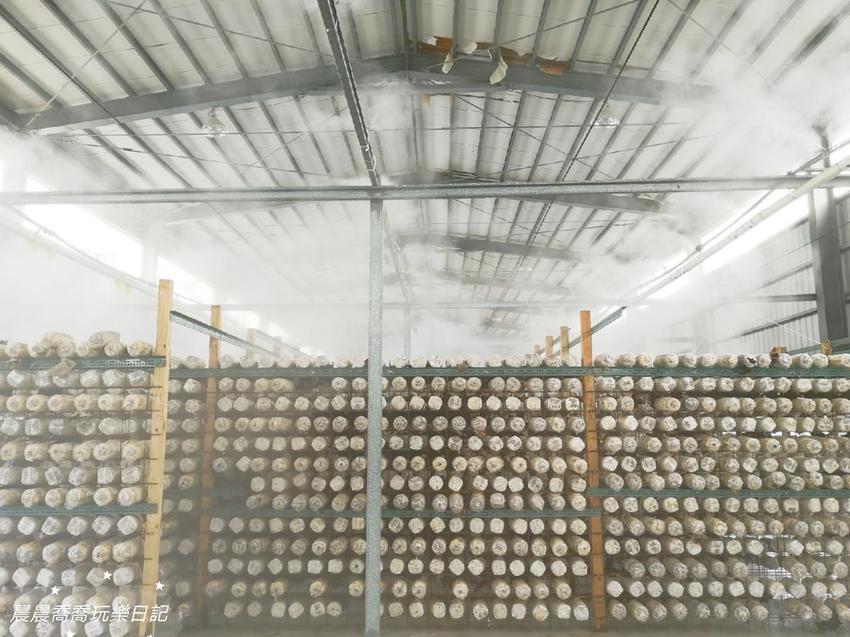 宜蘭景點.天勝農場