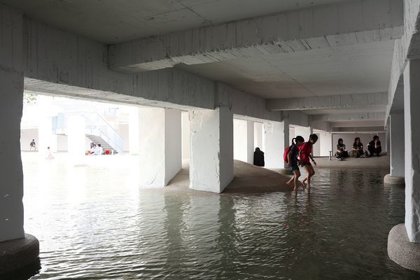 IMG_3237.jpg IMG_3237.jpg