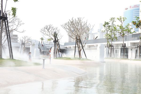 IMG_3204.jpg IMG_3204.jpg