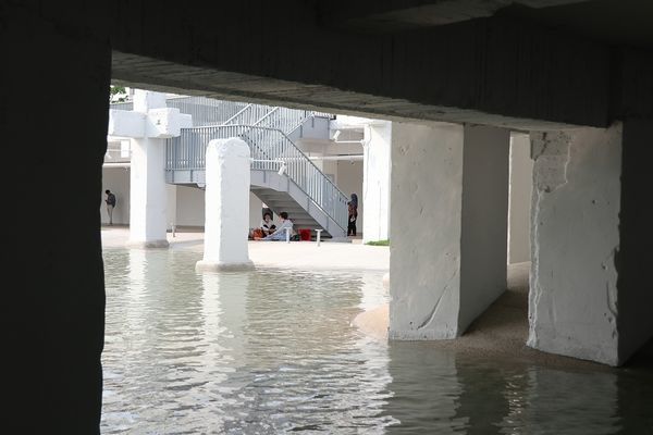 IMG_3244.jpg IMG_3244.jpg