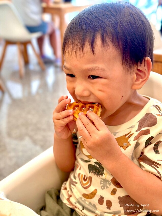 台中后里寵物友善餐廳推薦！春坂早午餐店貓陪吃幸福滿分。